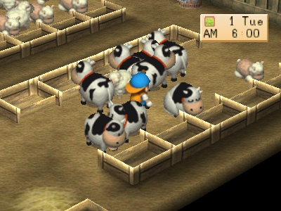 animal_cows.jpg